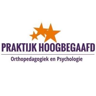 Praktijk Hoogbegaafd