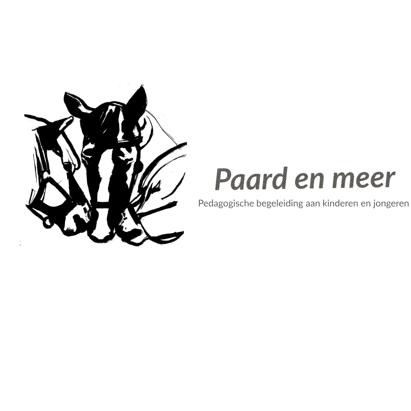 Paard en meer